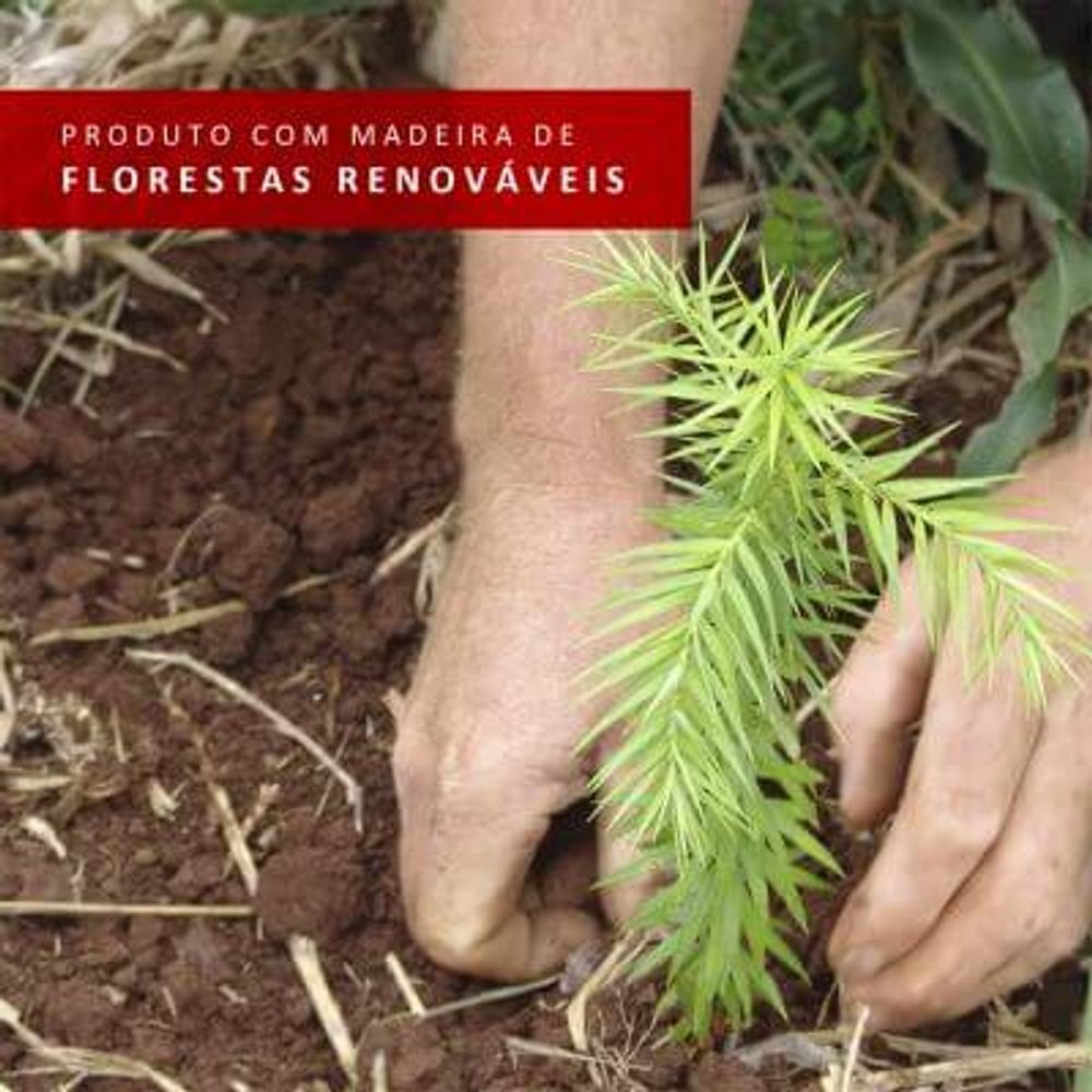 06-10445ZAML-florestas-renovaveis