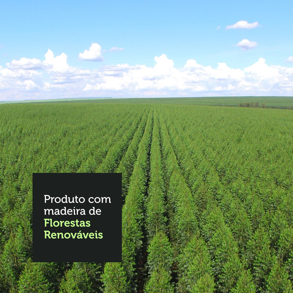 07-70035Z1CP-florestas-renovaveis