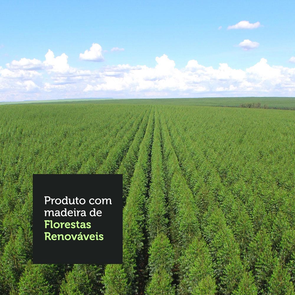 07-MDES02000609-florestas-renovaveis