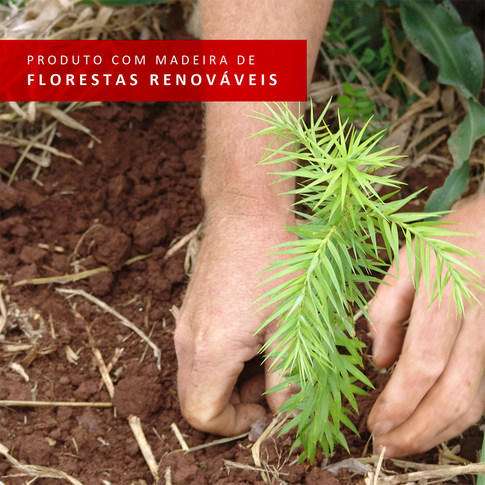 08-XA21058N1-florestas-renovaveis
