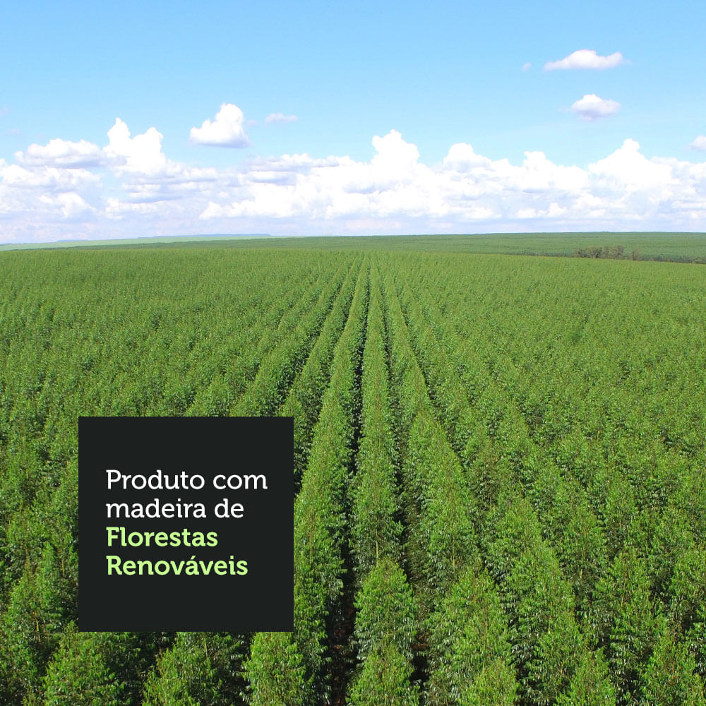 10-GRAG3500016E-florestas-renovaveis